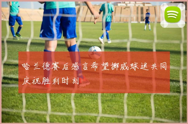 哈兰德赛后感言希望挪威球迷共同庆祝胜利时刻