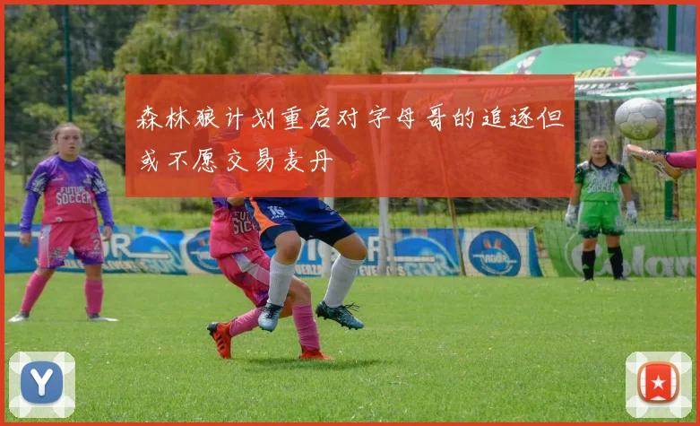 森林狼计划重启对字母哥的追逐但或不愿交易麦丹