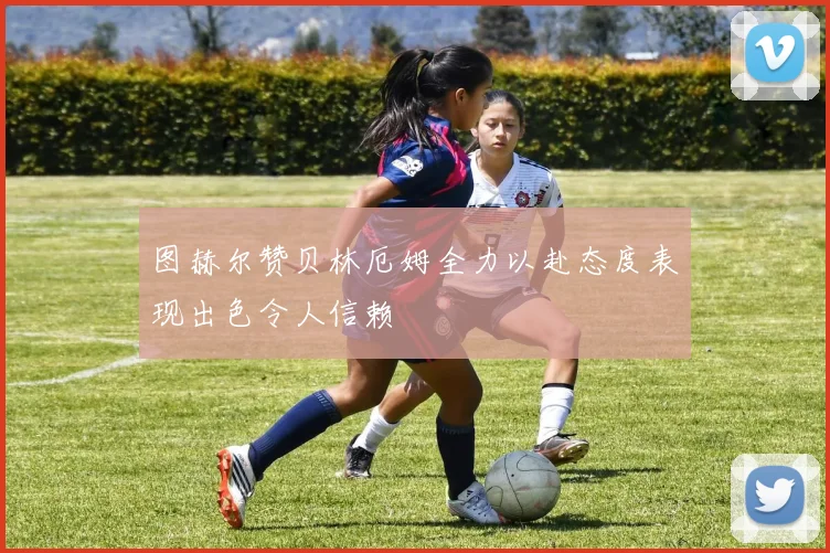 图赫尔赞贝林厄姆全力以赴态度表现出色令人信赖